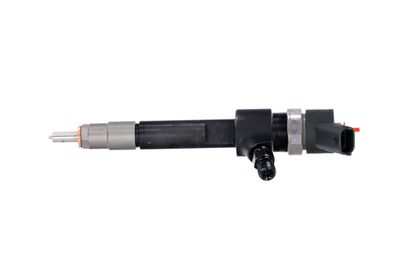 INJECTOR REMANTE 002003001695R 11