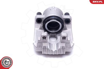 Brake Caliper 56SKV292