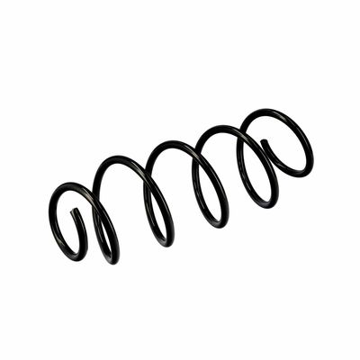 ARC SPIRAL EIBACH R10079 17