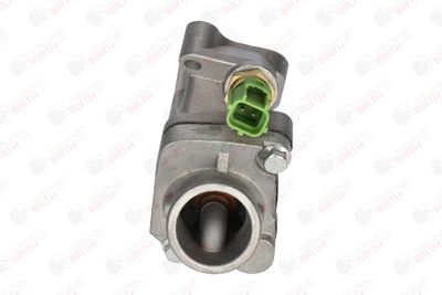 FLANSA LICHID RACIRE BIRTH 81771 4