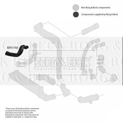 Charge Air Hose Borg & Beck BTH1703