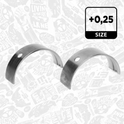 SET RULEMT ARBORE COTIT ET ENGINETEAM LH002425 1