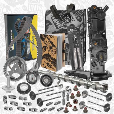 SET CUREA DE DISTRIBUTIE ET ENGINETEAM RM0033VR3
