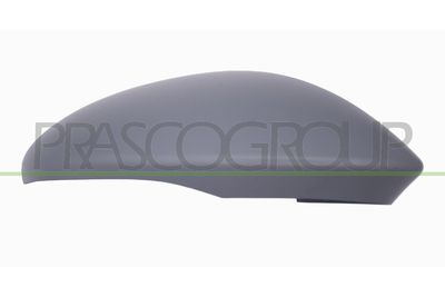 ACOPERIRE OGLINDA EXTERIOARA