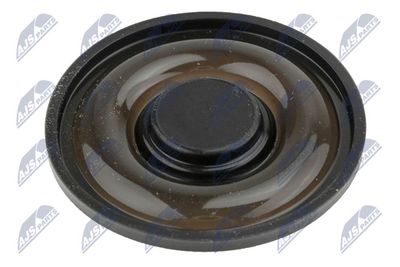 CAPAC CULBUTOR NTY BPZRE005 1