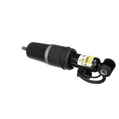 LUFTFEDERBEIN Arnott AS2163 31