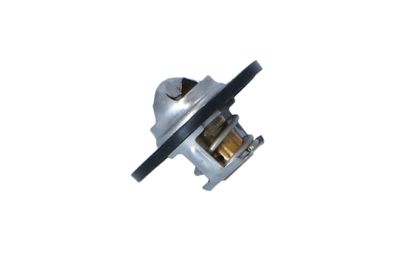 TERMOSTAT LICHID RACIRE NRF 725104 19