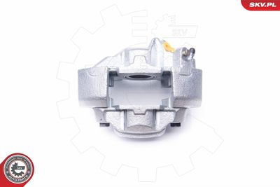 Brake Caliper 34SKV908