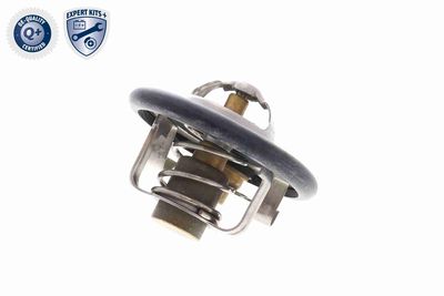 TERMOSTAT LICHID RACIRE ACKOJA A53990008 9