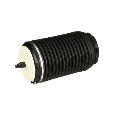 LUFTFEDER FAHRWERK Arnott A3295 38