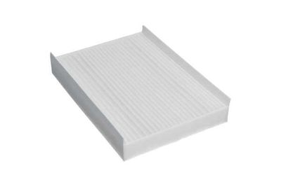 FILTRU AER HABITACLU AMC Filter FCA10022 20