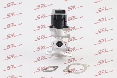Egr valve