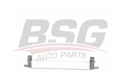 BSG BSG 70-535-002 Интеркулер  для FIAT QUBO (Фиат Qубо)