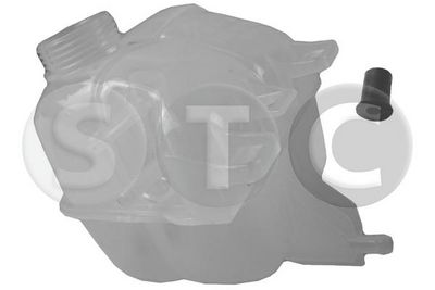 VAS DE EXPANSIUNE RACIRE