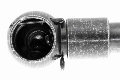 GASFEDER KOFFER-/LADERAUM VAICO V302071 1
