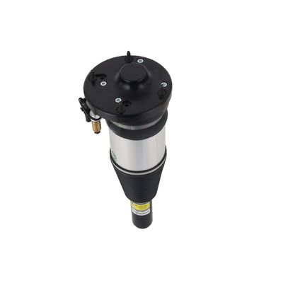 LUFTFEDERBEIN Arnott ASE3631 57