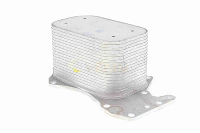 RADIATOR ULEI ULEI MOTOR VEMO V15606069 6