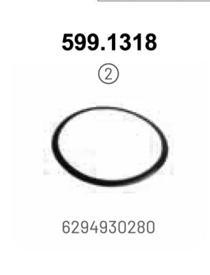 COLIER SISTEM DE ESAPAMENT