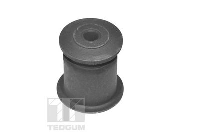 Mounting, control/trailing arm TED15091