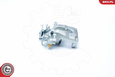 Brake Caliper 23SKV283