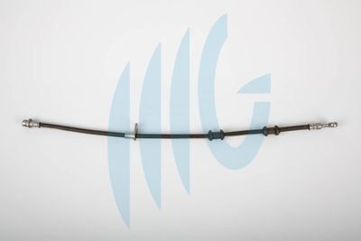 Тормозной шланг RICAMBIFLEX GM 02180855 для HONDA LEGEND