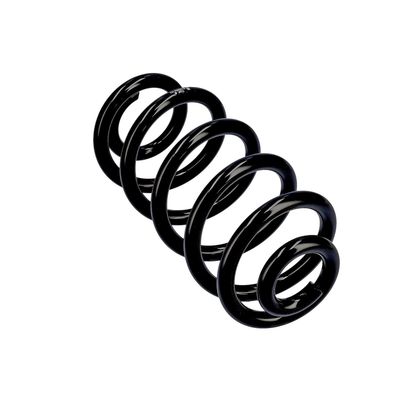 ARC SPIRAL EIBACH R10553 11