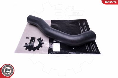 FURTUN EAR SUPRAALIMENTARE