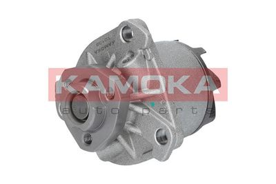 Water Pump, engine cooling T0138