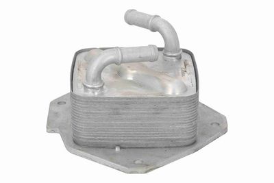 RADIATOR ULEI ULEI MOTOR ACKOJA A32600010 5