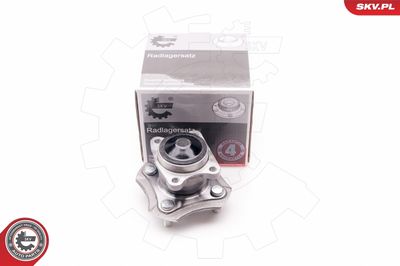 Wheel Bearing Kit 29SKV063