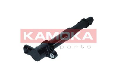 Ignition Coil 7120082