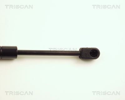 AMORTIZOR PORTBAGAJ KAWE 871025205 2