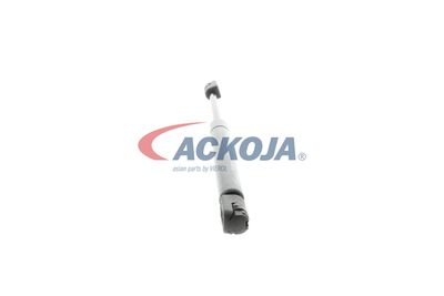 AMORTIZOR PORTBAGAJ ACKOJA A320134 48