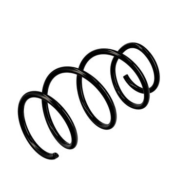 ARC SPIRAL EIBACH R10127 16
