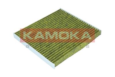 Filter, cabin air 6080024