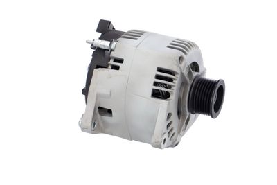 GENERATOR / ALTERNATOR REMANTE 011003000106R 46