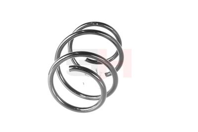 ARC SPIRAL GH GH2016012 18