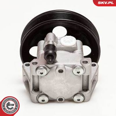 Hydraulpump, styrsystem ESEN SKV 10SKV050