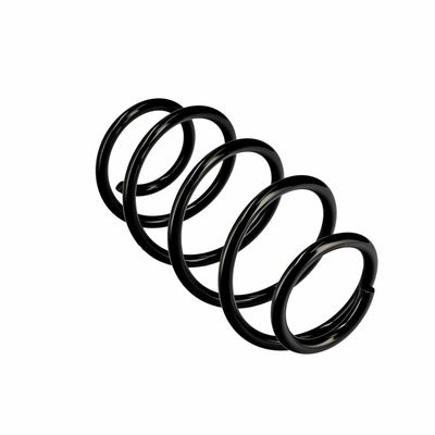 ARC SPIRAL EIBACH R10569 11