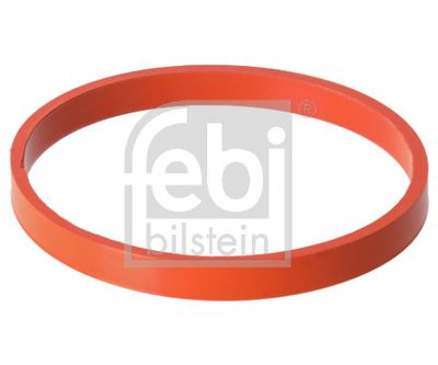 DICHTUNG ANSAUGKRüMMER