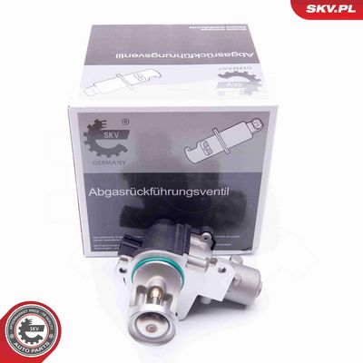 SUPAPA EGR ESEN SKV 14SKV172