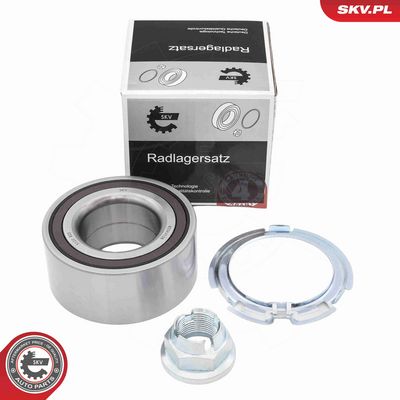 SET RULMENT ROATA ESEN SKV 85SKV038