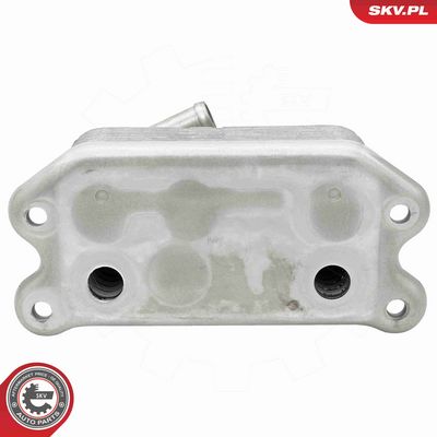 RADIATOR ULEI ULEI MOTOR ESEN SKV 31SKV300 2