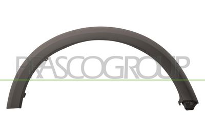 ZIER-/SCHUTZLEISTE KOTFLüGEL PRASCO LR0321581
