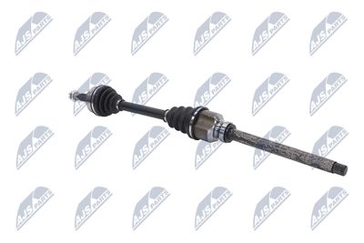 PLANETARA NTY NPWPE081 28