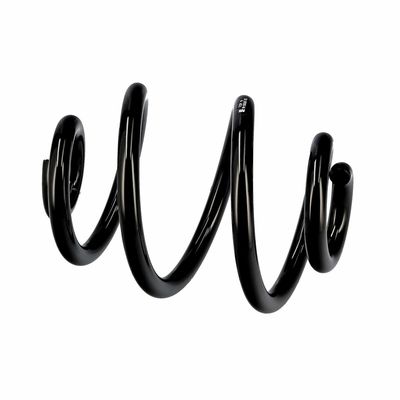 ARC SPIRAL EIBACH R10030 20