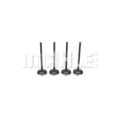 METAL LEVE VE0590256 Клапан выпускной для FORD FOCUS II седан (DB_, FCH, DH)