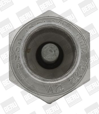 GLüHKERZE STANDHEIZUNG BorgWarner (BERU) GH847 1