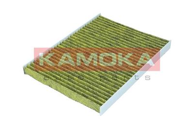 Filter, cabin air 6080136