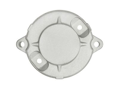 AS-PL Starterdeckel, Vergaser